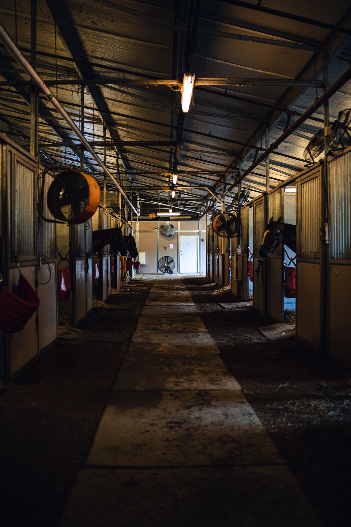 A horse boarding barn with individual stalls along an interior aisle